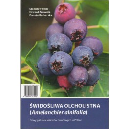 Świdośliwa olcholistna (Amelanchier alnifolia)