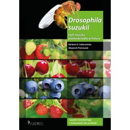 Drosophila suzukii, czyli muszka plamoskrzydła w Polsce