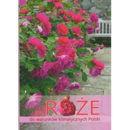 Róże do warunków klimatycznych Polski