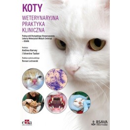 Koty Weterynaryjna praktyka kliniczna