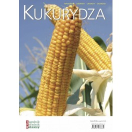 Kukurydza Nawożenie Odmiany Chwasty Ochrona