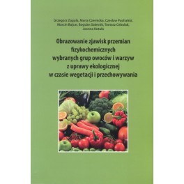 Obrazowanie zjawisk przemian fizykochemicznych wybranych grup owoców i warzyw z uprawy ekologicznej w czasie wegetacji i przechowywania