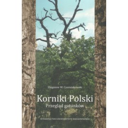 Korniki Polski Przegląd gatunków