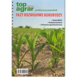 Fazy rozwojowe kukurydzy Skala BBCH, rozpoznawanie, zalecenia agrotechniczne