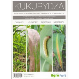 Kukurydza Identyfikacja agrofagów oraz niedoborów pokarmowych