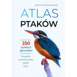 Atlas ptaków 250 polskich gatunków