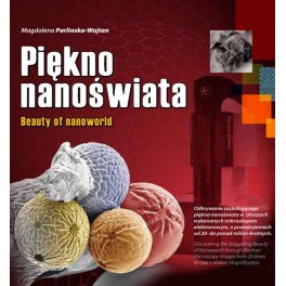 Piękno nanoświata (Beauty of nanoworld)
