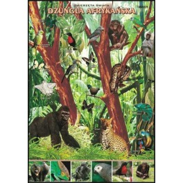 Dżungla afrykańska Zwierzęta świata Plansza dydaktyczna